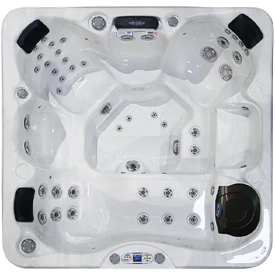 Avalon EC-849L hot tubs for sale in San Jose