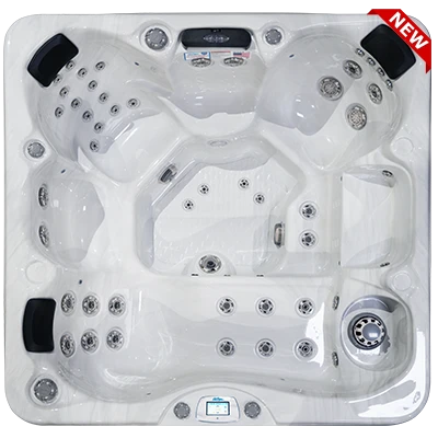 Avalon-X EC-849LX hot tubs for sale in San Jose