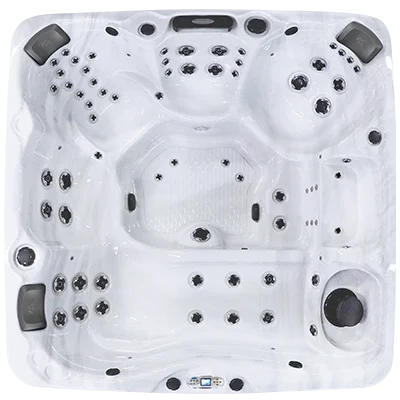 Avalon EC-867L hot tubs for sale in San Jose